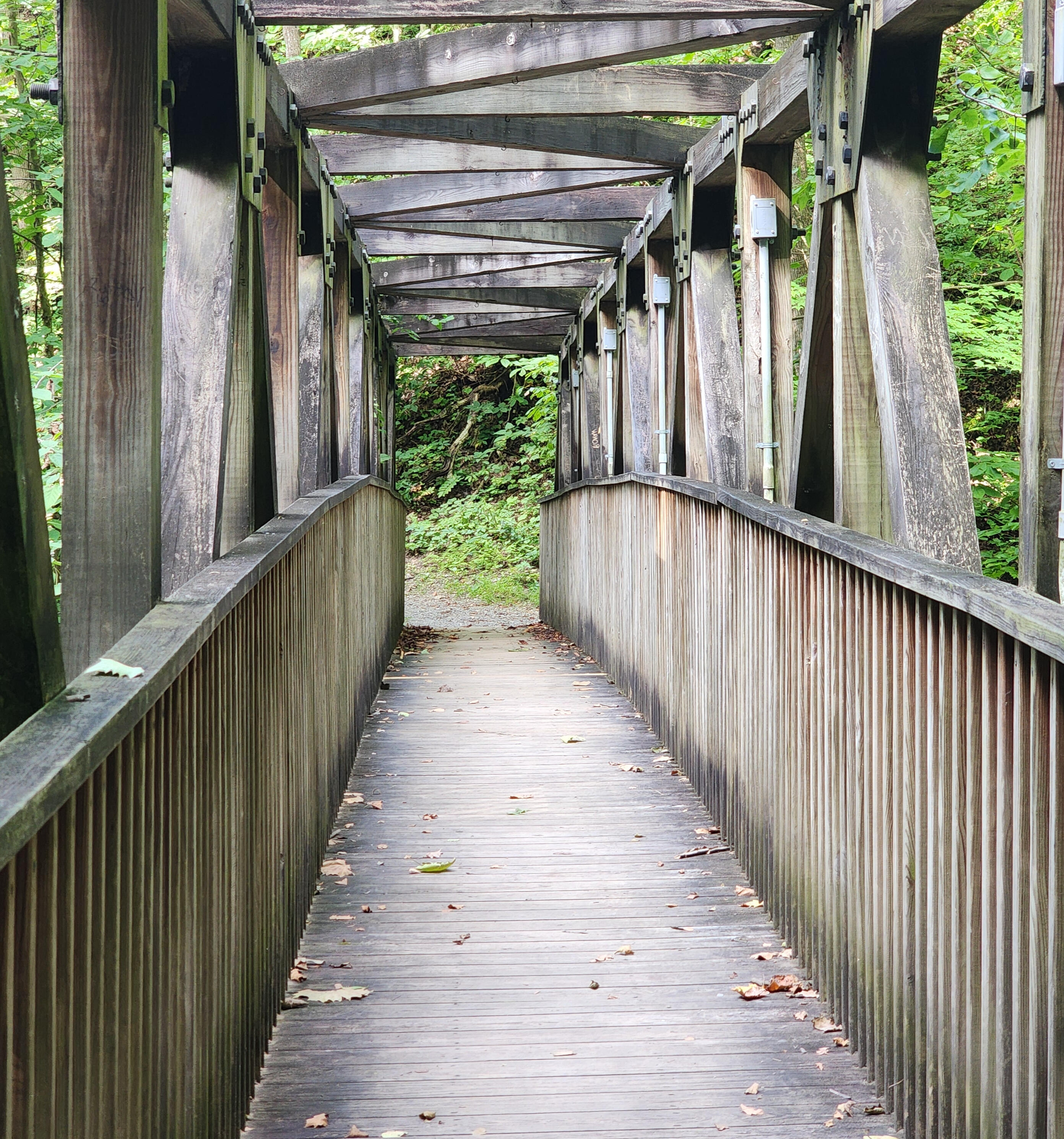 Pathways and New Beginnings Wooden bridge pathway through forest symbolizing personal growth, reflection, and new beginnings